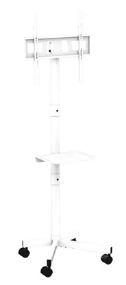 Attēls no TV stiprinājums Gembird 32" - 55" TV floor stand with caster wheels White