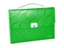 Picture of *Portfelis-kartoteka OMEGA zaļa