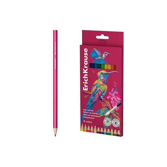 Изображение Akvareļu zīmuļi 12 krāsas Safari, ErichKrause