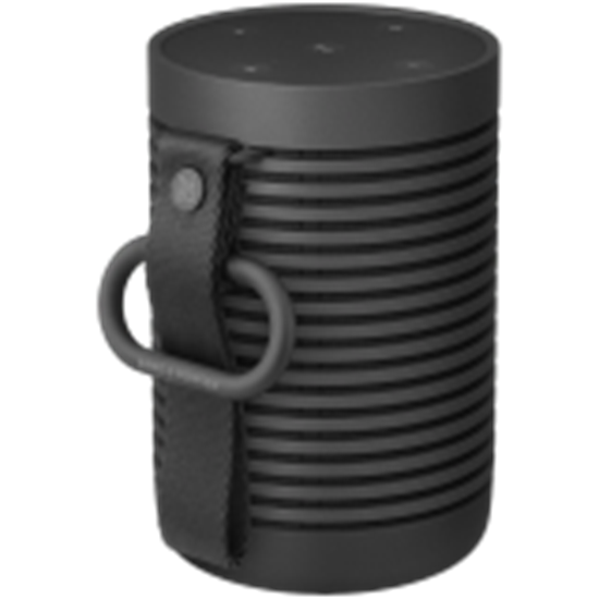 Picture of BANG & OLUFSEN 1626000