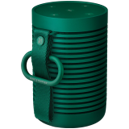 Picture of BANG & OLUFSEN 1626004