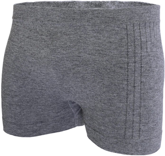 Изображение BX1042U Bokserki PROTECT FR/AS szary M