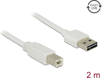 Picture of Delock Cable EASY-USB 2.0 Type-A male > USB 2.0 Type-B male 2 m white