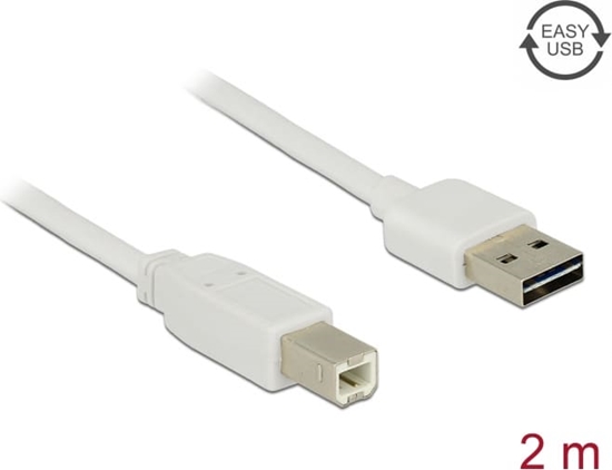 Picture of Delock Cable EASY-USB 2.0 Type-A male > USB 2.0 Type-B male 2 m white
