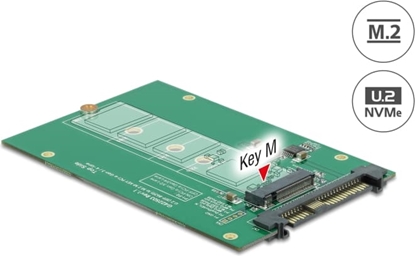 Изображение Delock Converter U.2 SFF-8639 > M.2 NVMe Key M