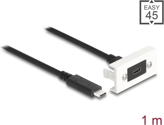 Изображение Delock Easy 45 Module SuperSpeed USB 10 Gbps (USB 3.2 Gen 2) USB Type-C™ female to USB Type-C™ male with pigtail, 22,5 x 45 mm