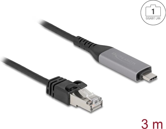 Picture of Delock USB LAN Cable USB Type-C™ to RJ45 Gigabit Ethernet 3 m
