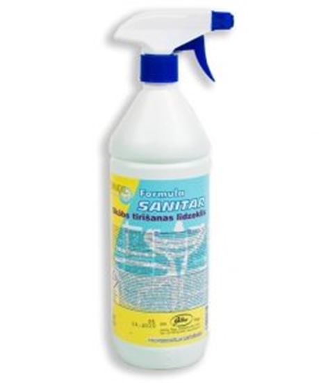 Изображение EWOL Professional Formula SANITAR citrus 1L