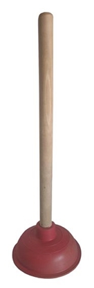 Picture of IZLIETŅU TĪRĀMAIS ( Vantūzis)