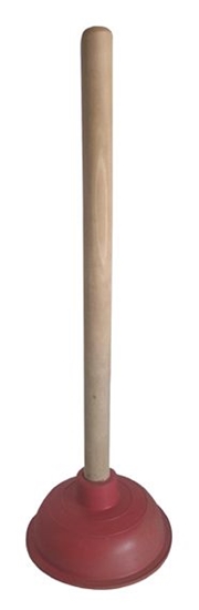 Picture of IZLIETŅU TĪRĀMAIS ( Vantūzis)