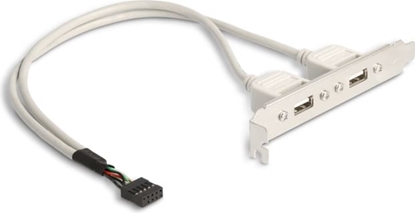 Attēls no Kronšteins 2xUSB2.0 -> 1xUSB9pin iekšējs, 0.3m, Delock