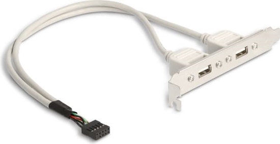 Изображение Kronšteins 2xUSB2.0 -> 1xUSB9pin iekšējs, 0.3m, Delock