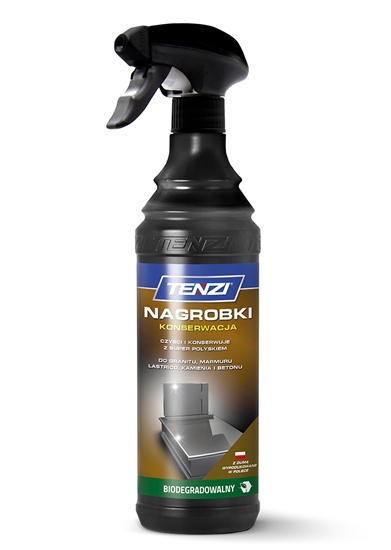 Picture of Līdzeklis pieminekļu aizsardzībai no laika apstākļiem TENZI 600ml