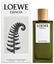Picture of Loewe Esencia Perfume EDP 100 ml