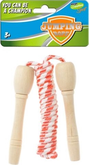 Picture of Mega Creative SKAKANKA MEGA CREATIVE 422457