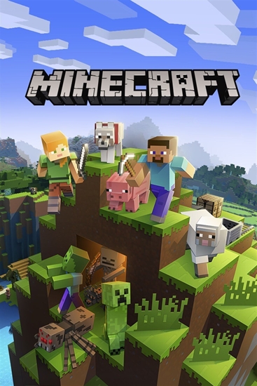 Picture of MS ESD Minecraft XXS ML