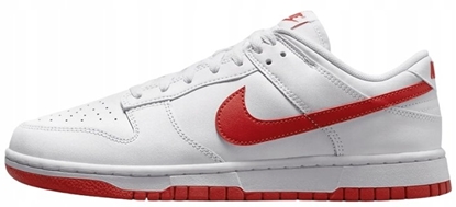 Picture of Nike Dunk Low Retro DV0831-103 biae 42