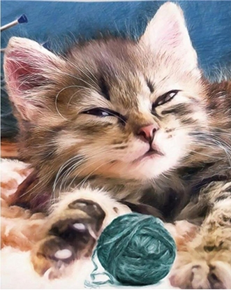 Picture of Norimpex *****Diamentowa mozaika Kot z wóczk 1008307