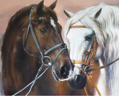 Picture of Norimpex Diamentowa mozaika - Dwa konie