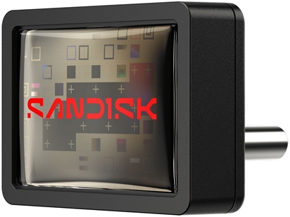 Attēls no MEMORY DRIVE FLASH USB-C 256GB/SDCZ530-256G-G46 SANDISK