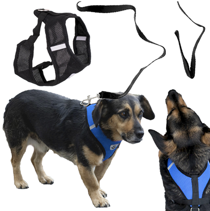Attēls no RoGer Adjustable non-pressure dog harness with leash XL