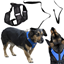 Picture of RoGer Adjustable non-pressure dog harness with leash XL