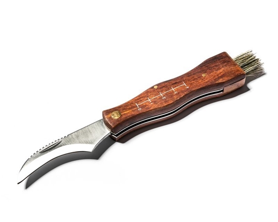 Изображение RoGer Folding pocket knife for mushroom picking