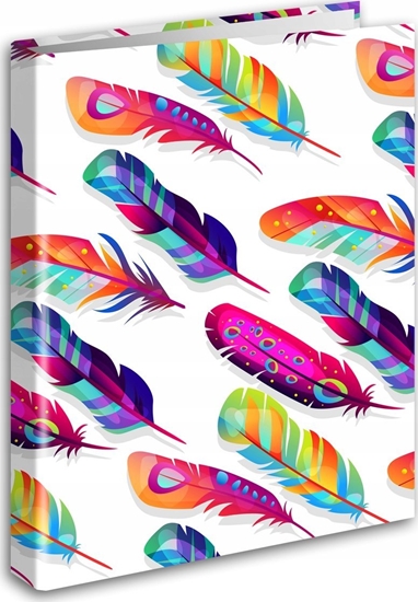 Picture of Segregator Tadeo Trading Segregator A4/2 piórka PENMATE