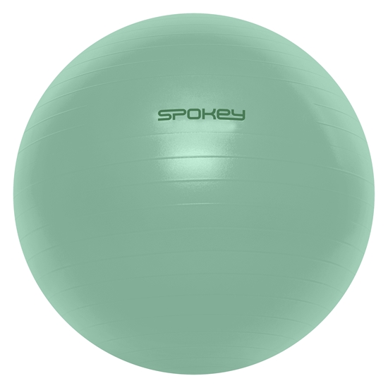 Picture of Spokey FITBALL vingrošanas bumba ar pumpi 55cm