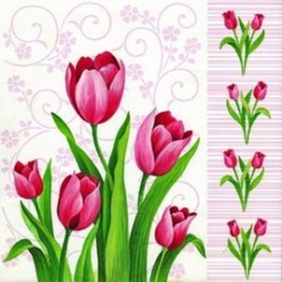 Picture of TREND salvetes PAVASARIS/ TULPE , 33x33, 1kārta, 20 gab.