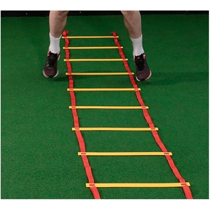 Picture of Veiklības kāpnes Prove 4m