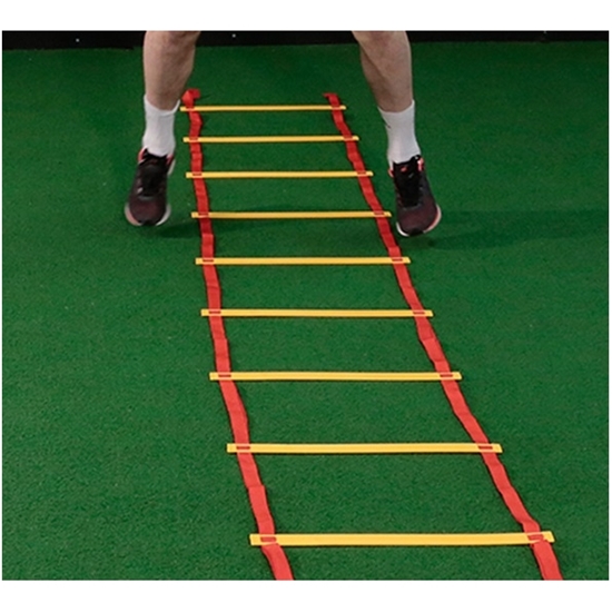 Picture of Veiklības kāpnes Prove 4m