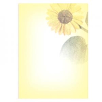 Picture of Vēstuļu papīrs Saulespuķe 5 A4/20