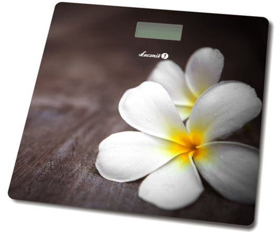 Изображение Waga azienkowa ucznik BS-973 W14