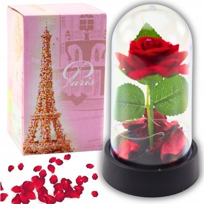 Picture of Wieczna Róa w Kopule z Owietleniem LED Czerwona z Patkami Ró 14x8cm