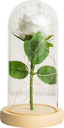 Picture of Wieczna Róa W Szkle Kopua Owietlenie LED Biaa 21x11cm