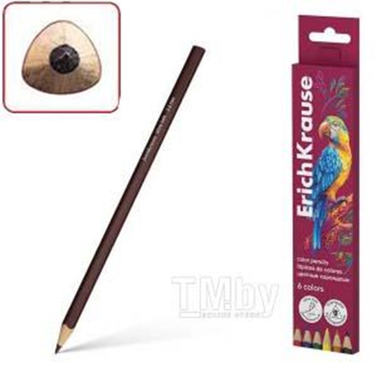 Picture of Zīmuļi krāsainie 6 krāsas trīsstūrveida,