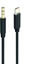 Attēls no 2GO Audiokabel AUX/MP3 für USB Type-C - Stereo 100cm schwarz