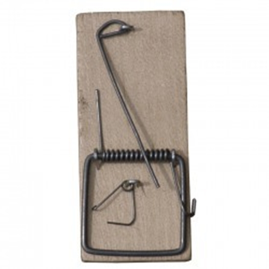 Picture of apka na myszy drewniana dua