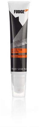 Picture of Big Hair Raise The Roots