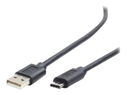Picture of Cablexpert | USB 2.0 AM to Type-C cable (AM/CM), 1.8 m