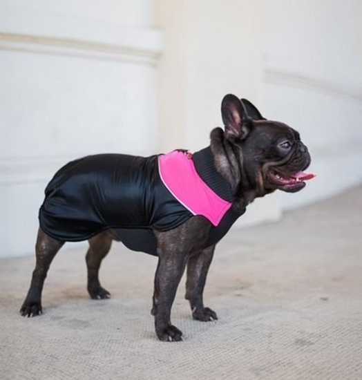 Picture of Chaba Ubranko regulowane Wear Magnifique 3XL róowe