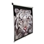 Изображение Elite Screens | Manual Series | M136XWS1 | Diagonal 136 " | 1:1 | Viewable screen width (W) 244 cm | White