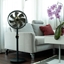 Picture of FAN STANDING URANUS/COP001101 STYLIES