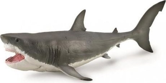 Picture of Figurka Collecta COLLECTA MEGALODON W OPAKOWANIU (DELUXE)