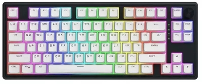 Picture of Klawiatura Hator HTK3180UA Skyfall 80 Bezprzewodowa klawiatura do gier ENG/UA/RU HTK3180UA (8721325182913)