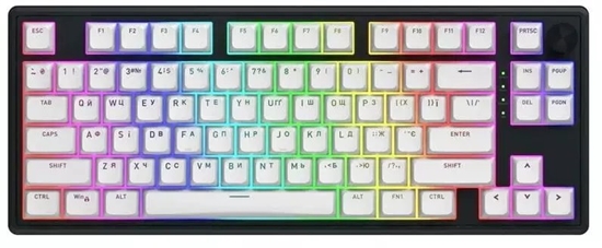 Picture of Klawiatura Hator HTK3180UA Skyfall 80 Bezprzewodowa klawiatura do gier ENG/UA/RU HTK3180UA (8721325182913)