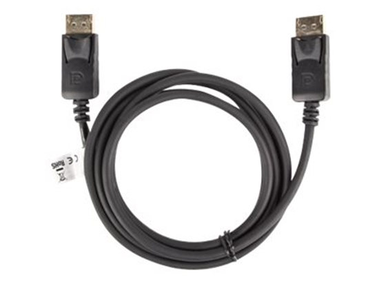 Изображение LANBERG CA-DPDP-10CC-0018-BK cable