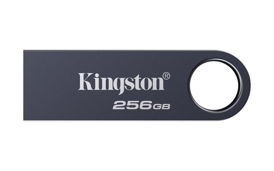 Picture of MEMORY DRIVE FLASH USB3.2 256G/SE9 G3 KE-U2X256-1AC KINGSTON