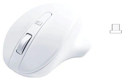 Attēls no Mysz bezprzewodowa - Wireless USB-C Pro Mouse White 